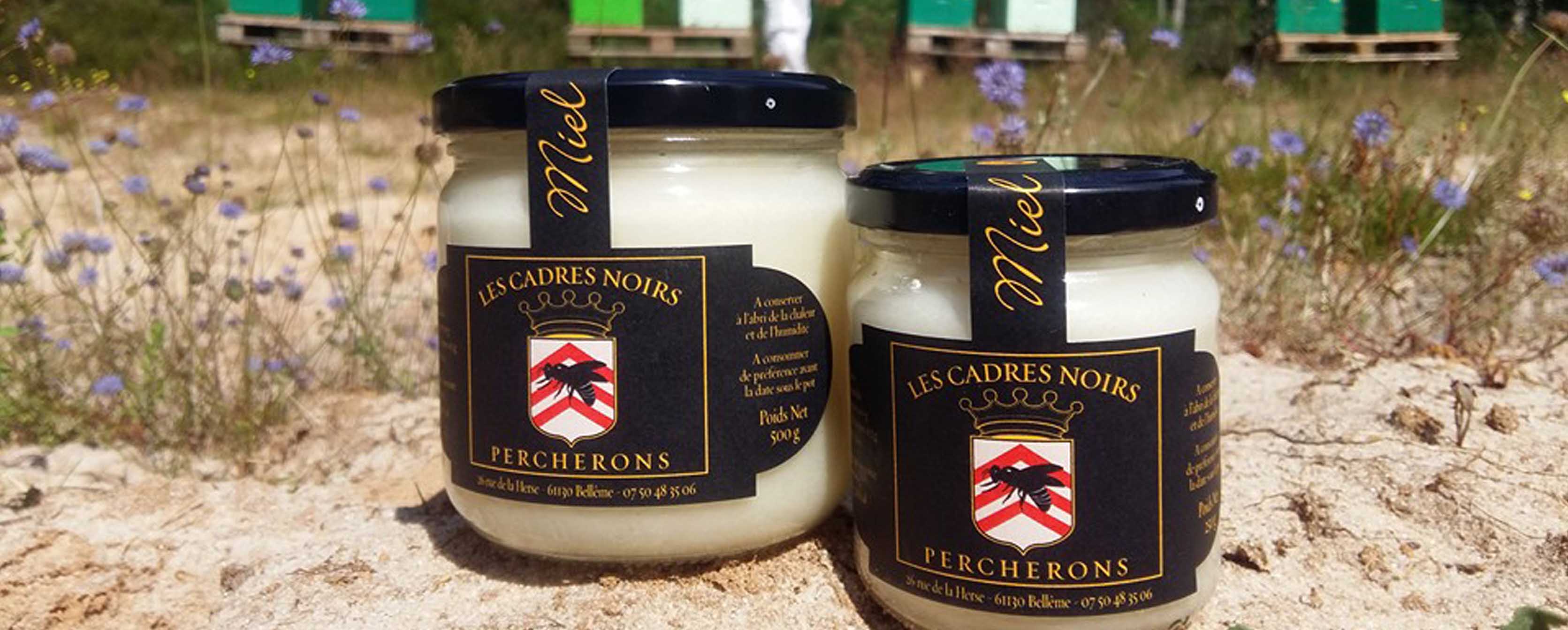 LES CADRES NOIRS PERCHERONS