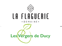 logo29