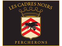 logo31